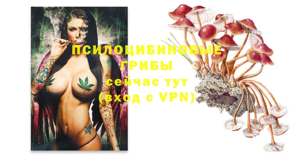 эйфоретик Коряжма