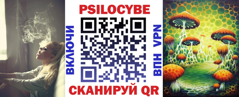 Купить закладки  Мегион  Псилоцибиновые грибы Magic Shrooms 